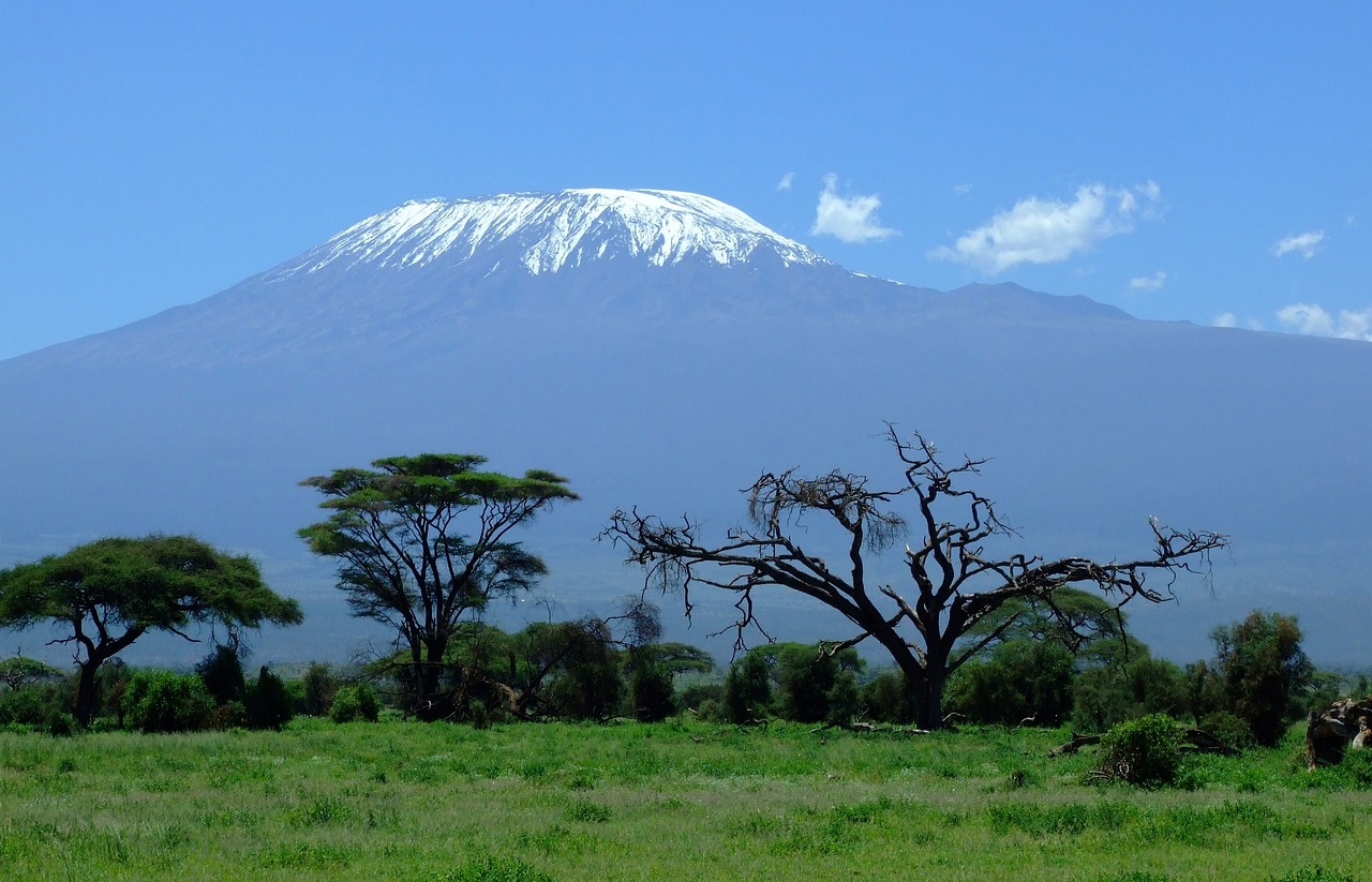 Quel est la meilleure période pour faire un safari ?
