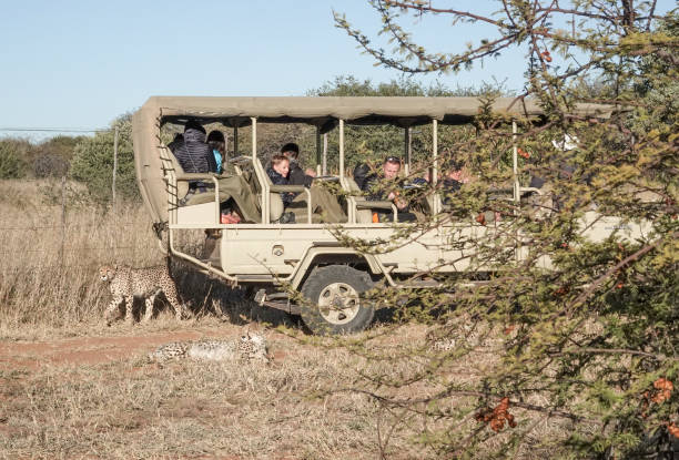 Safari en Afrique en Famille